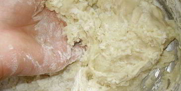 быстрое дрожжевое тесто