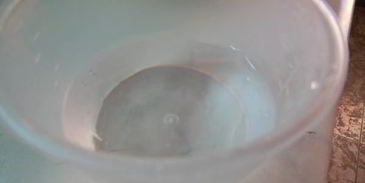 тесто бризе