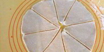 универсальное творожное тесто