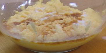 бисквит с ягодами