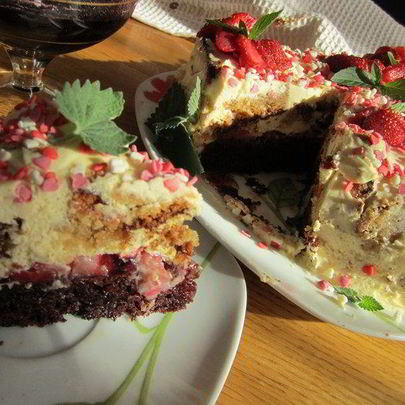 Торт Два бисквита