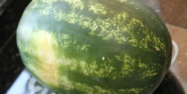 торт из арбуза