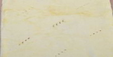 торт наполеон по госту