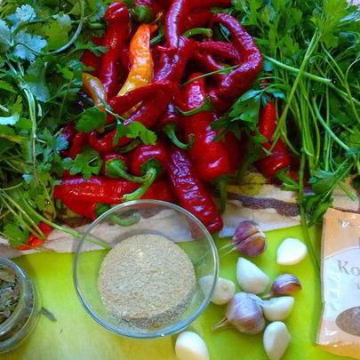 Аджика грузинская