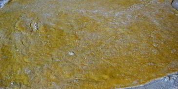 бухарское — таджикское калеве