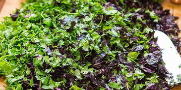 кавказская аджика на зиму