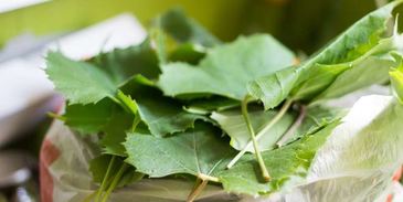 долма на зиму