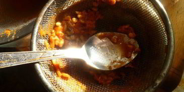 джем из шиповника