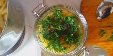 кабачки с перцем квашеные на зиму