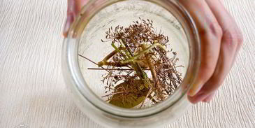 хрустящие кабачки на зиму