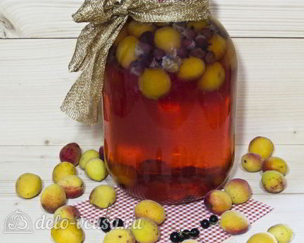 Компот из абрикосов и черной смородины на зиму