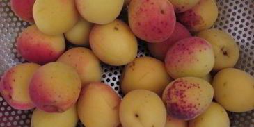 компот из абрикосов и черной смородины на зиму