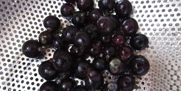 компот из абрикосов и черной смородины на зиму