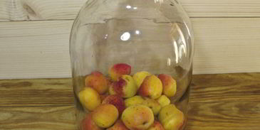 компот из абрикосов и черной смородины на зиму