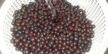 компот из черемухи