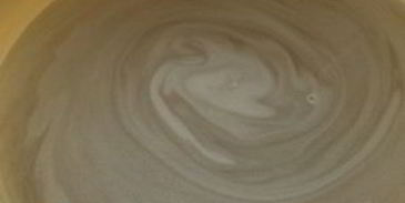 компот из черемухи