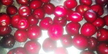 компот из черешни