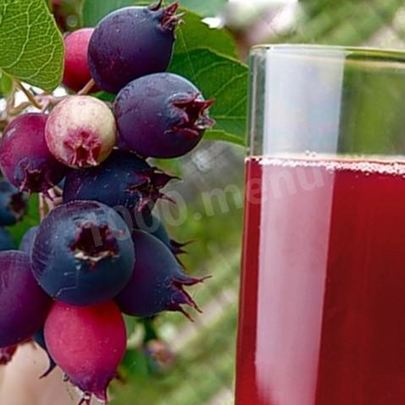 Компот из ирги