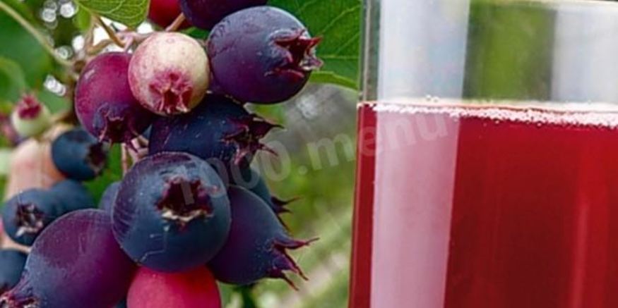 Рецепт компота из ирги