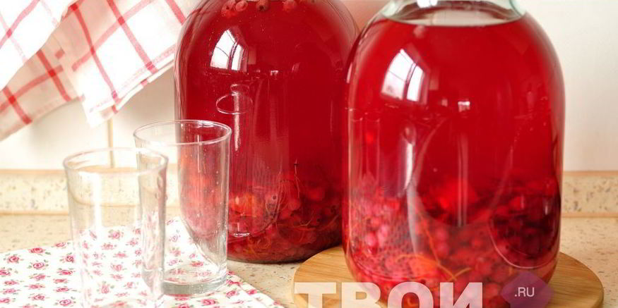 Рецепт компота из красной смородины с апельсином