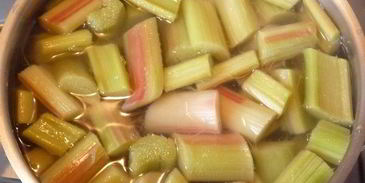 компот из ревеня