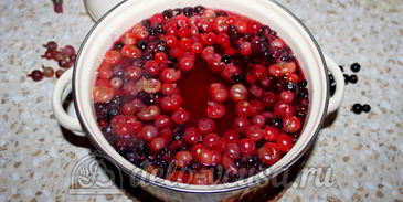 компот из смородины и крыжовника