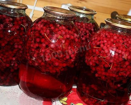 Компот на зиму из красной и белой смородины