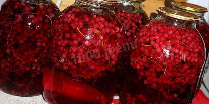 Рецепт компота на зиму из красной и белой смородины