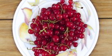 персиковый компот