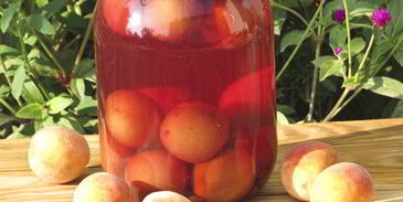 персиковый компот