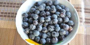 виноградный компот из изабеллы