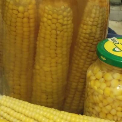 Кукуруза на зиму