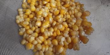 кукуруза на зиму