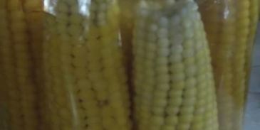 кукуруза на зиму