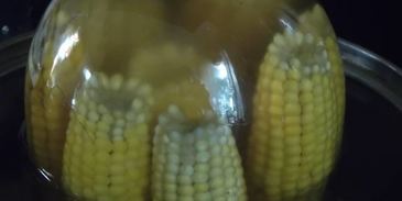 кукуруза на зиму