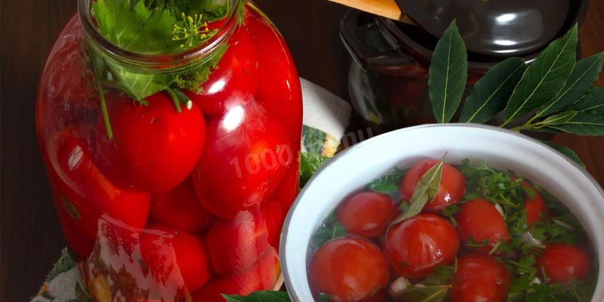 Рецепт квашеных помидоров на зиму холодным способом