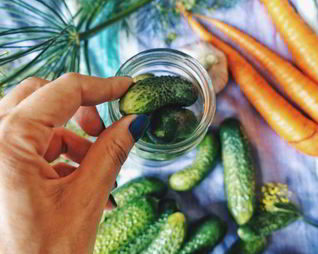 Лечо из огурцов