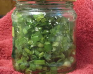 Лук зеленый на зиму