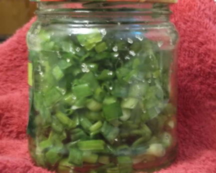 Лук зеленый на зиму