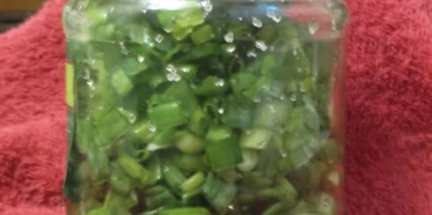 Рецепт лука зеленого на зиму