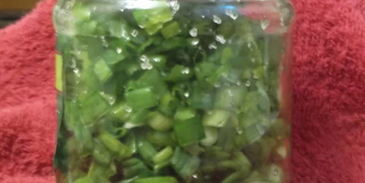 лук зеленый на зиму