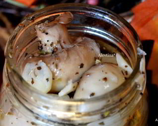 Грибы маринованные — Антипасти