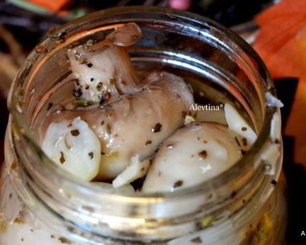 Грибы маринованные — Антипасти