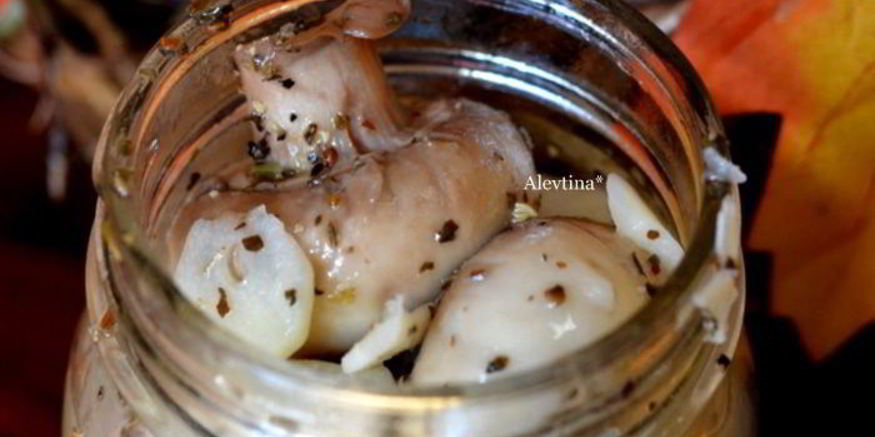 Рецепт грибов маринованных — антипастей