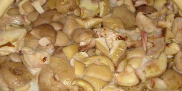 грибы маринованные навсегда