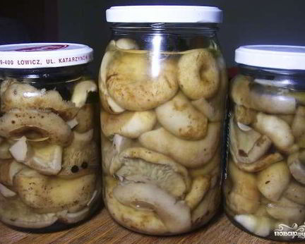 Грузди соленые маринованные