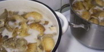 грузди соленые маринованные