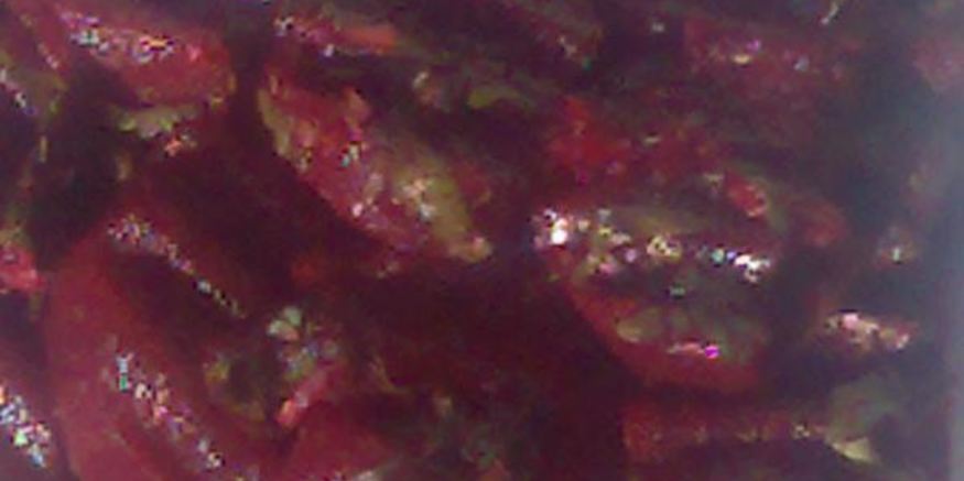 Рецепт маринованной свеклы по-грузински