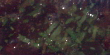 маринованная свекла по-грузински