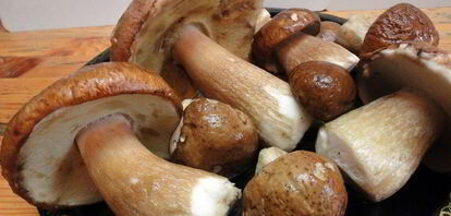 Рецепты маринованного чеснока